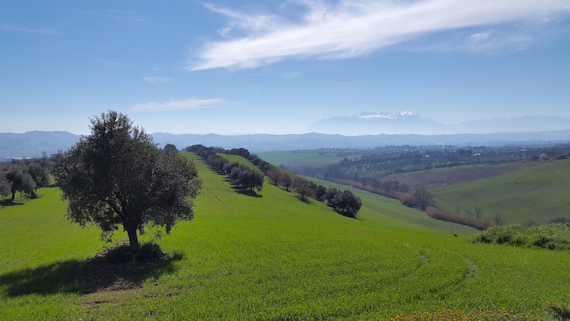 Gli americani sono convinti: “Abruzzo terra dove si vive bene”