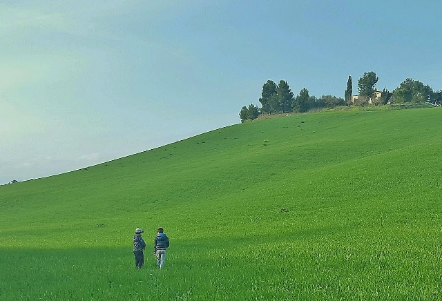 Erba di grano, un tuffo nella natura